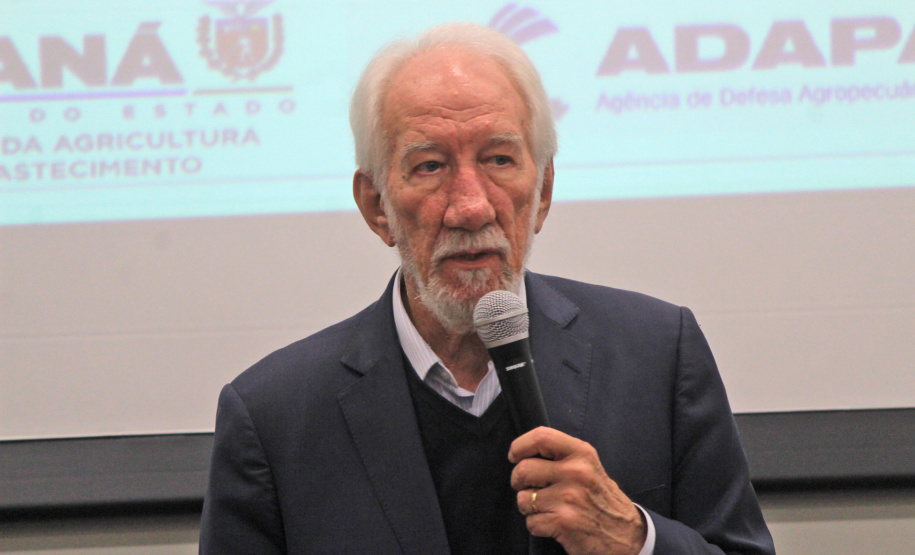 Em Curitiba, fórum debate comercialização da agroindústria e prevenção da influenza aviária