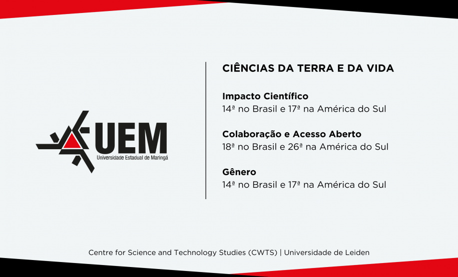 UEM e UEL estão entre as universidades que mais produzem pesquisa de impacto no Brasil
