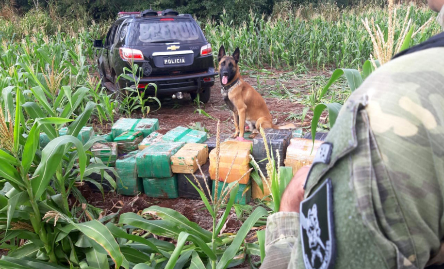 Estado apresenta novas metas e compromissos na política de controle às drogas