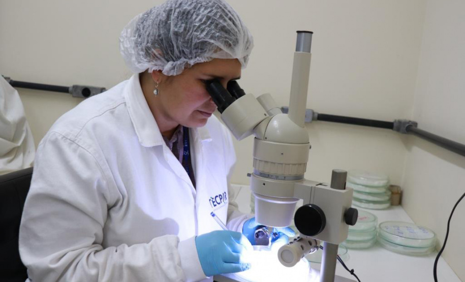 Estado busca projetos de diferentes segmentos produtivos para investir R$ 20 milhões