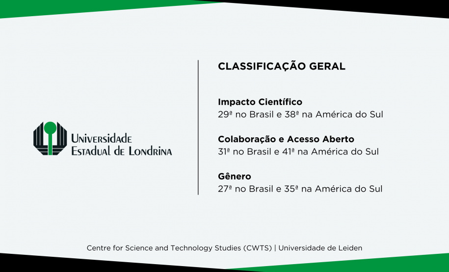 UEM e UEL estão entre as universidades que mais produzem pesquisa de impacto no Brasil