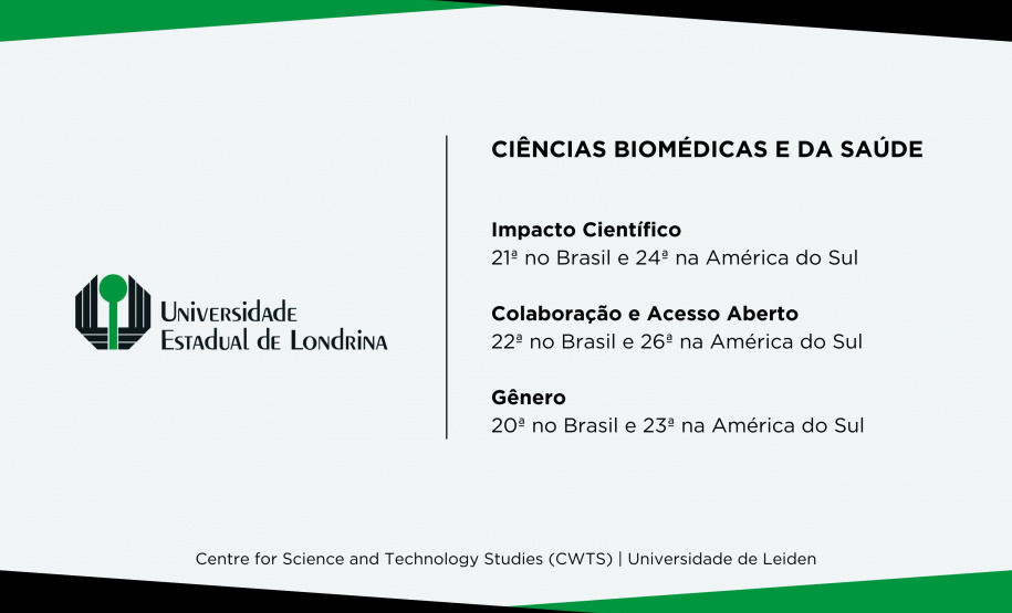 UEM e UEL estão entre as universidades que mais produzem pesquisa de impacto no Brasil