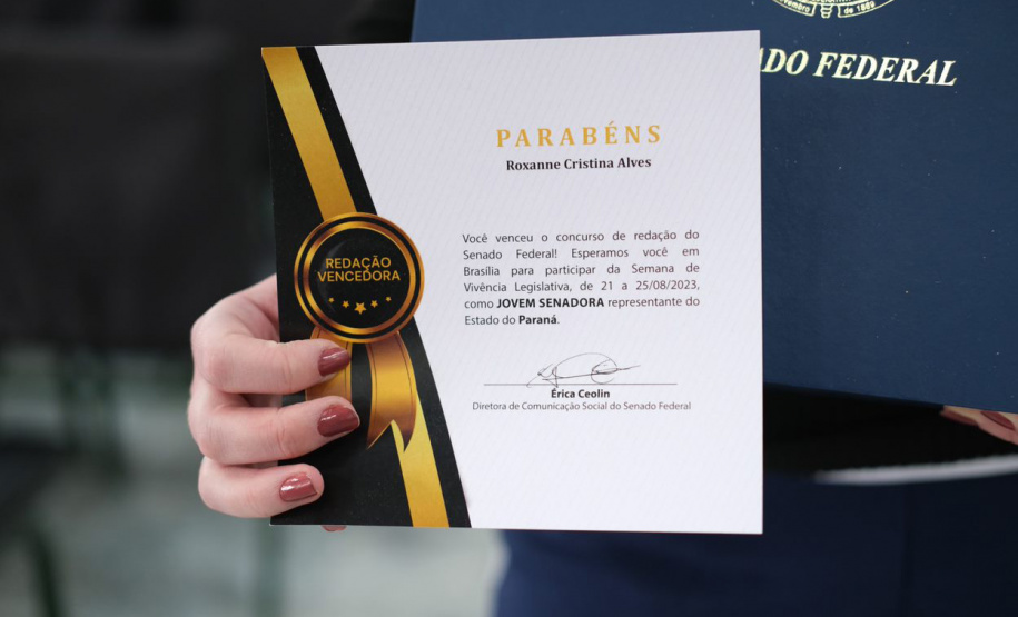 Estudante de Curitiba da rede estadual representa o Paraná no concurso Jovem Senador