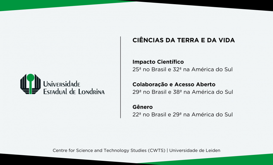 UEM e UEL estão entre as universidades que mais produzem pesquisa de impacto no Brasil