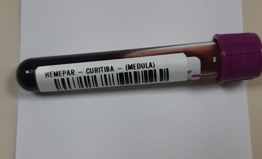 Em seis meses, cadastro de medula óssea no Paraná originou seis transplantes exitosos pela compatibilidade