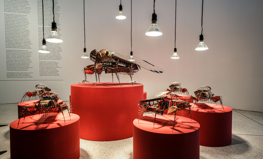 MON terá programação especial da nova exposição africana para público com mais de 60 anos