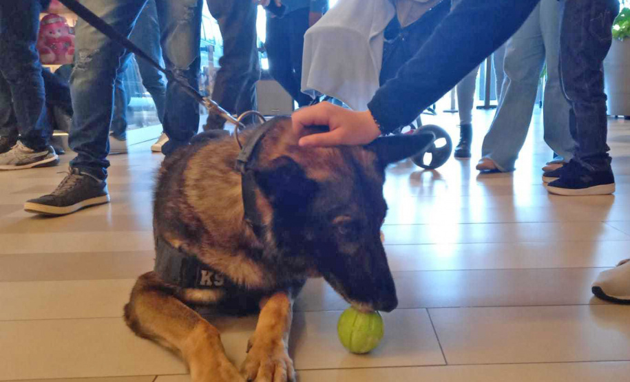 PCPR na Comunidade atende mil pessoas em evento de conscientização sobre drogas na Capital