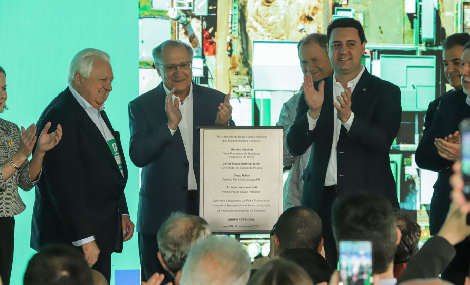 Potencial Biodiesel - Lapa