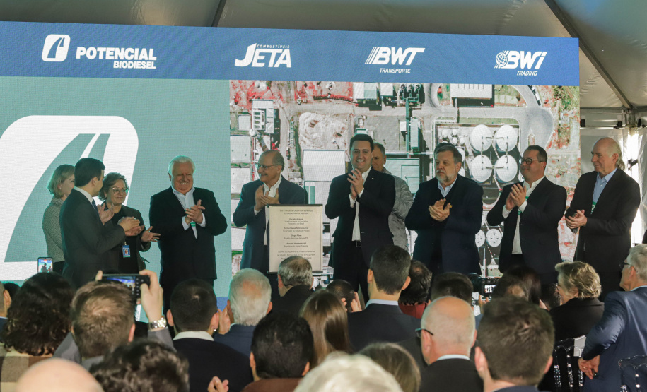 Potencial Biodiesel - Lapa