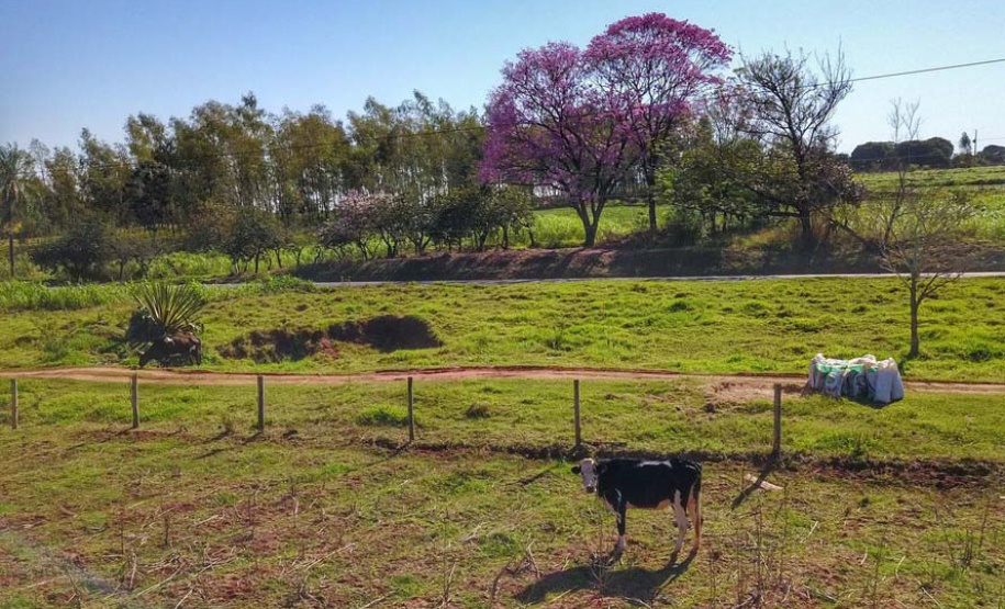 Em agosto, o Instituto Água e Terra (IAT) começa a utilizar em três regionais o módulo de Análise Dinamizada do SICAR Nacional para automatizar a etapa de conferência dos cadastros de imóveis rurais.