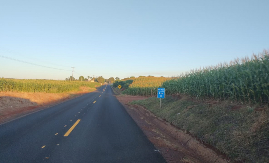 Conservação PR-461