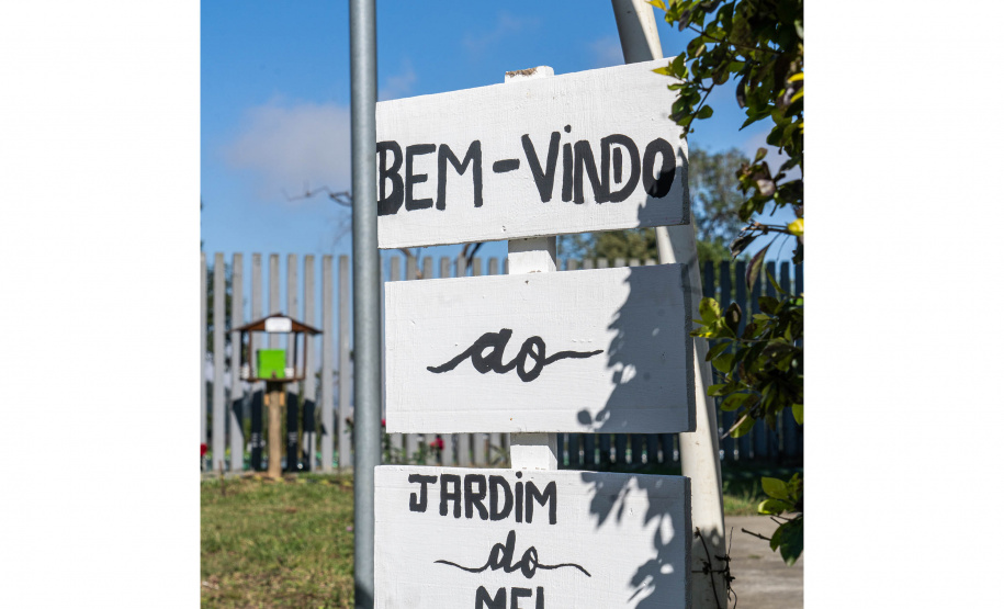 Colégio Agrícola da Lapa abraça projeto de abelhas nativas e leva tema às aulas