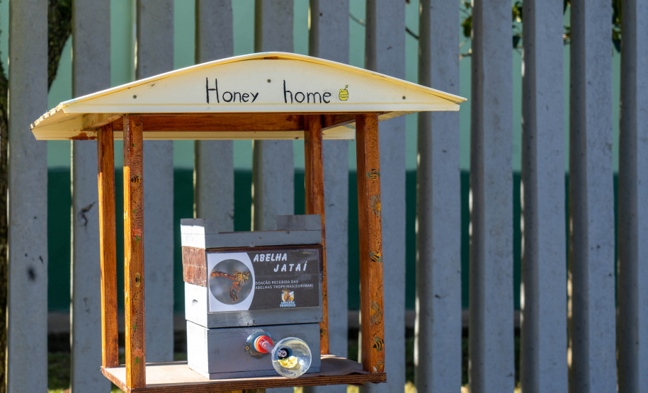 Colégio Agrícola da Lapa abraça projeto de abelhas nativas e leva tema às aulas