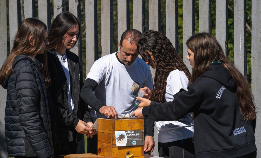 Colégio Agrícola da Lapa abraça projeto de abelhas nativas e leva tema às aulas