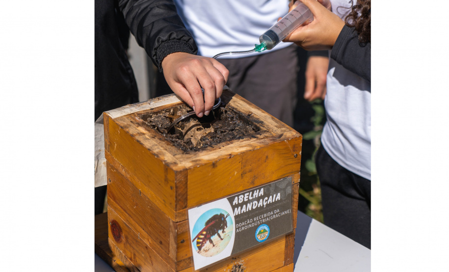 Colégio Agrícola da Lapa abraça projeto de abelhas nativas e leva tema às aulas