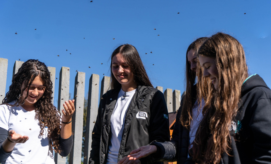 Colégio Agrícola da Lapa abraça projeto de abelhas nativas e leva tema às aulas