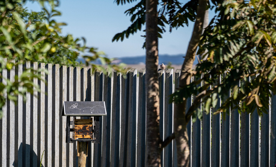 Colégio Agrícola da Lapa abraça projeto de abelhas nativas e leva tema às aulas