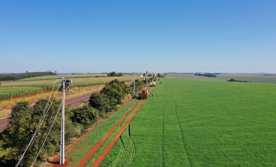 Paraná Trifásico entrega 12,5 mil km de novas redes e alcança 50% do programado
