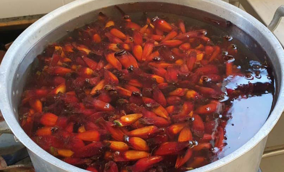 Oficina do pinhão VRS