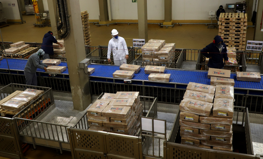 Líder nacional na produção de carne de frango, Paraná bate novo recorde trimestral