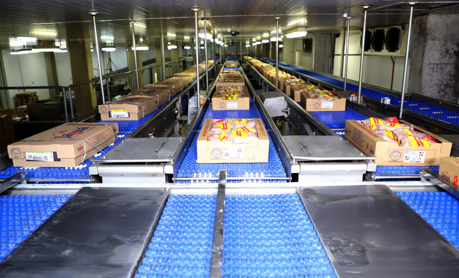 Líder nacional na produção de carne de frango, Paraná bate novo recorde trimestral