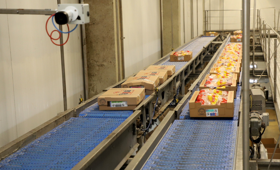 Líder nacional na produção de carne de frango, Paraná bate novo recorde trimestral