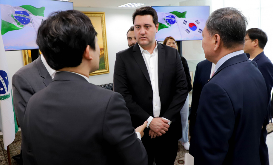 Reunião celepar e corea