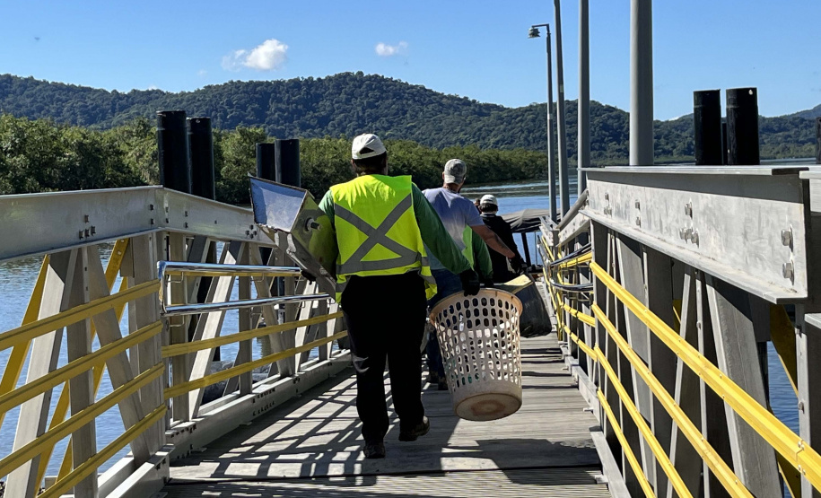 2º mutirão de limpeza de manguezais organizado pela Portos do Paraná retira quase 2,5 toneladas do entorno de Antonina