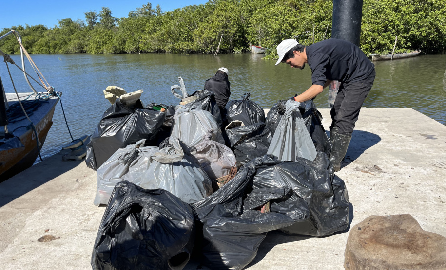 2º mutirão de limpeza de manguezais organizado pela Portos do Paraná retira quase 2,5 toneladas do entorno de Antonina