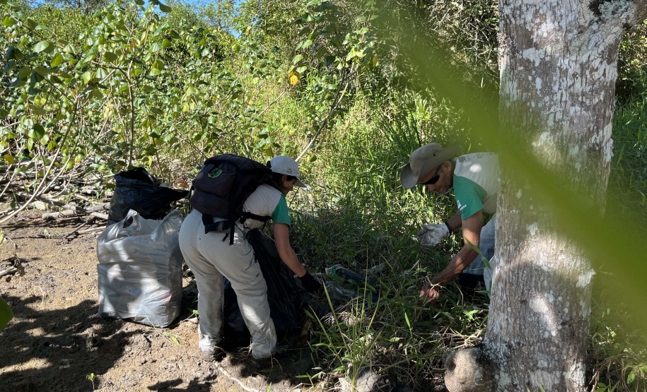 2º mutirão de limpeza de manguezais organizado pela Portos do Paraná retira quase 2,5 toneladas do entorno de Antonina