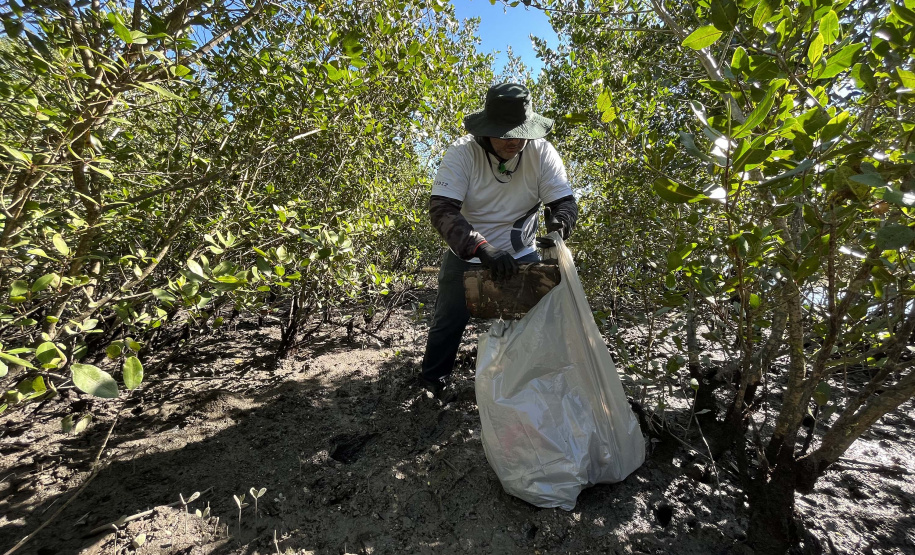 2º mutirão de limpeza de manguezais organizado pela Portos do Paraná retira quase 2,5 toneladas do entorno de Antonina