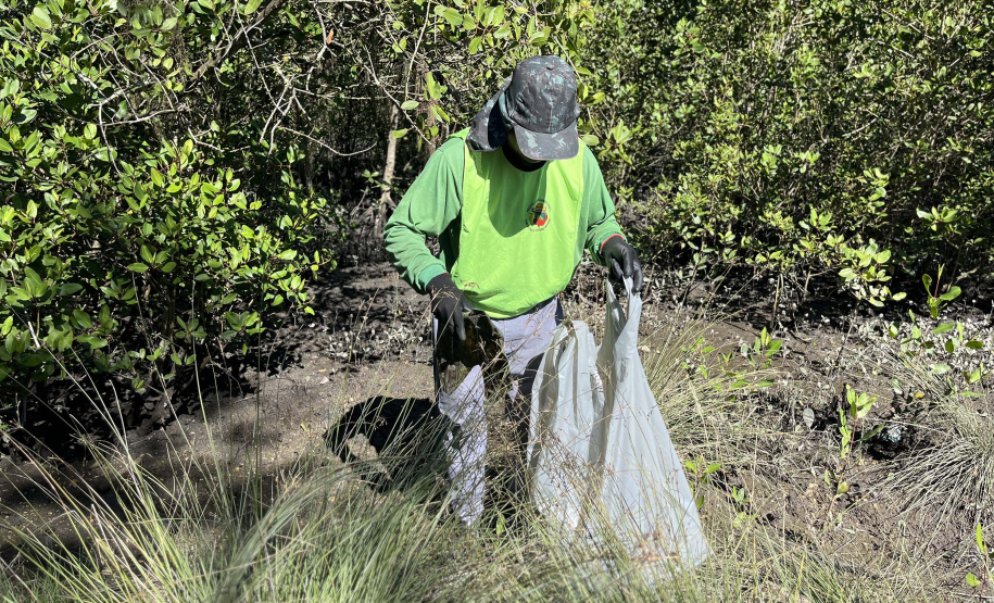 2º mutirão de limpeza de manguezais organizado pela Portos do Paraná retira quase 2,5 toneladas do entorno de Antonina