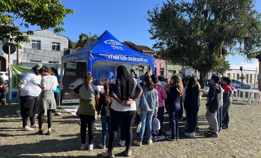2º mutirão de limpeza de manguezais organizado pela Portos do Paraná retira quase 2,5 toneladas do entorno de Antonina