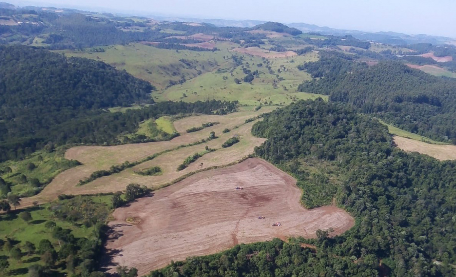 Boletim da dengue registra mais 8,5 mil casos e 7 óbitos no Paraná