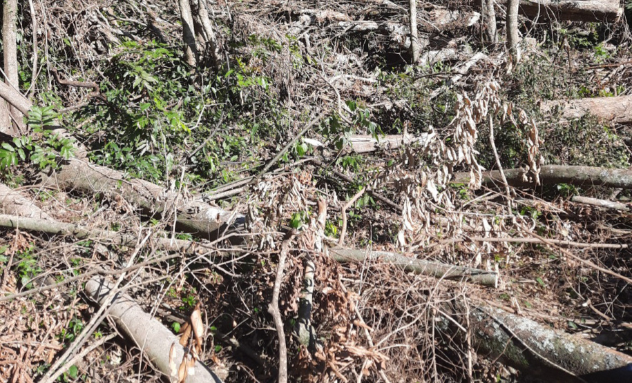 Fiscalização Sudoeste IAT