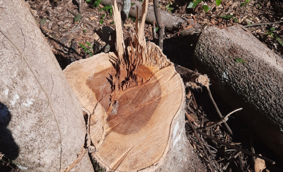 Fiscalização Sudoeste IAT