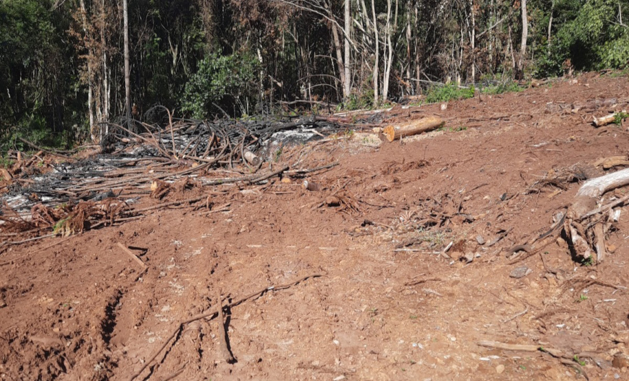 Fiscalização Sudoeste IAT