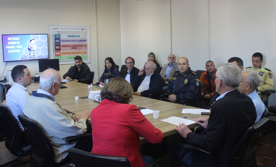 Governo do Paraná, setor privado e entidades do agro trabalham para conter gripe aviária