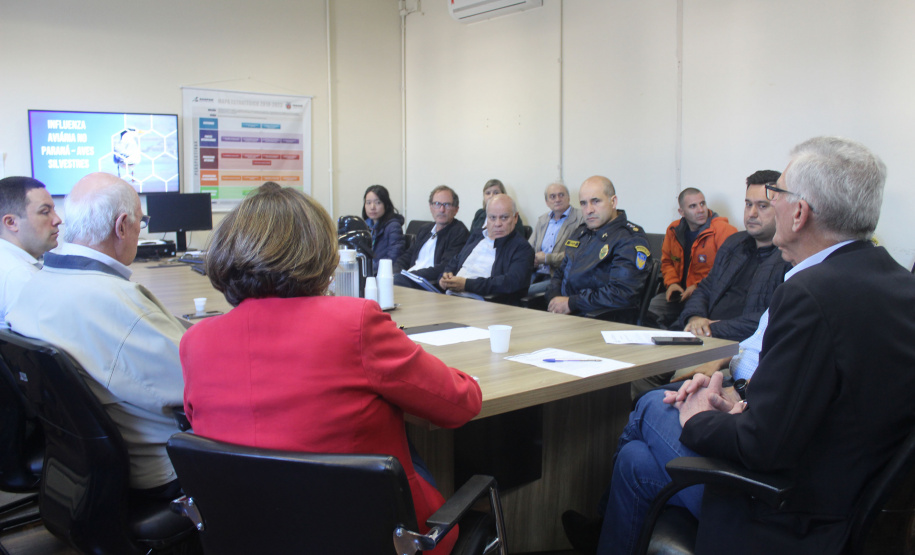 Governo do Paraná, setor privado e entidades do agro trabalham para conter gripe aviária