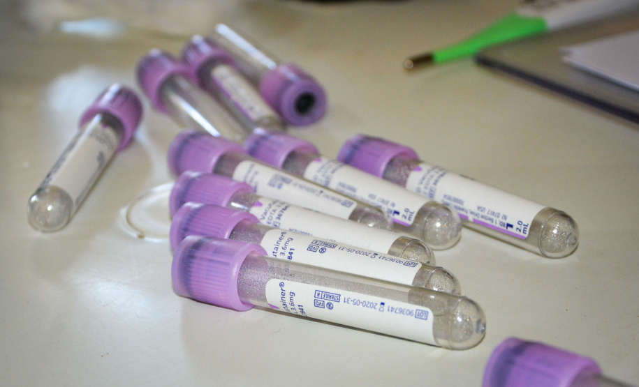 Cães de rua do Complexo Penitenciário de Piraquara recebem atendimento básico e participarão da feira de adoção da Universidade Positivo, em Curitiba