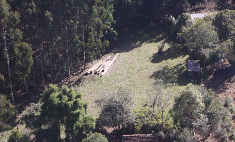 Polícia Militar apreende mais de 490 metros cúbicos de madeira ilegal durante operação