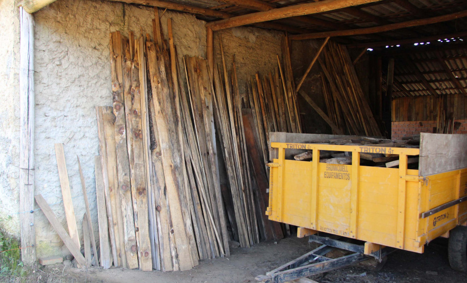 Polícia Militar apreende mais de 490 metros cúbicos de madeira ilegal durante operação