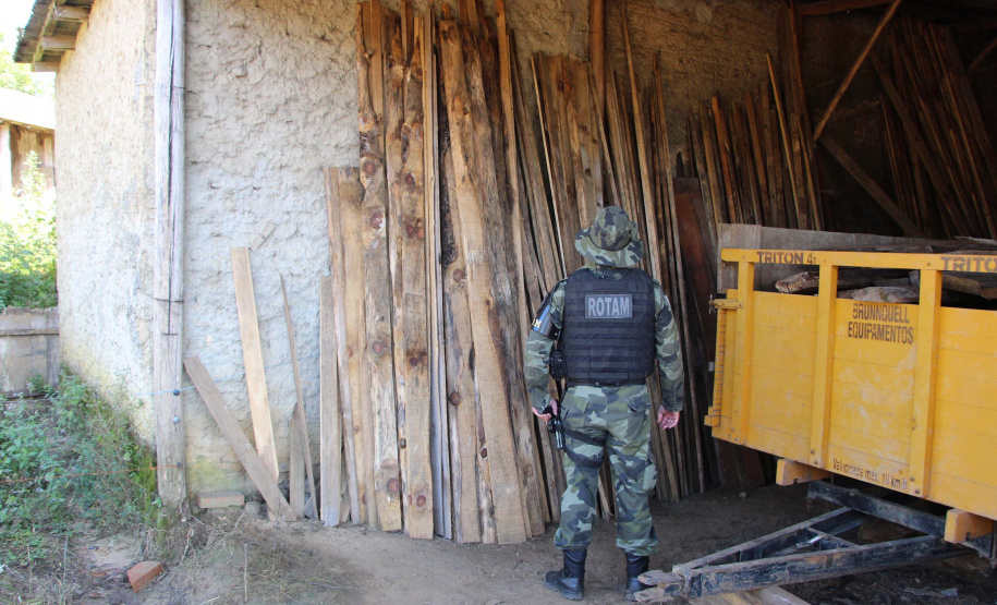 Polícia Militar apreende mais de 490 metros cúbicos de madeira ilegal durante operação