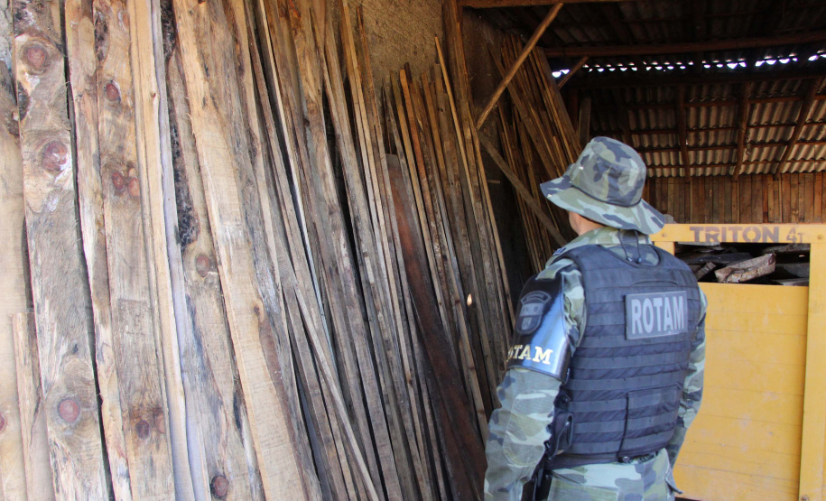 Polícia Militar apreende mais de 490 metros cúbicos de madeira ilegal durante operação