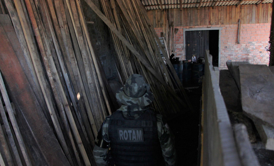 Polícia Militar apreende mais de 490 metros cúbicos de madeira ilegal durante operação