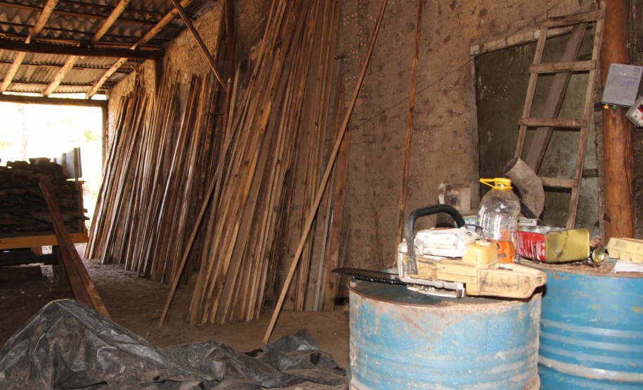 Polícia Militar apreende mais de 490 metros cúbicos de madeira ilegal durante operação