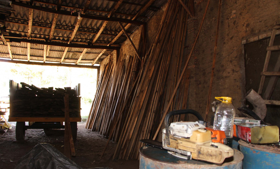 Polícia Militar apreende mais de 490 metros cúbicos de madeira ilegal durante operação