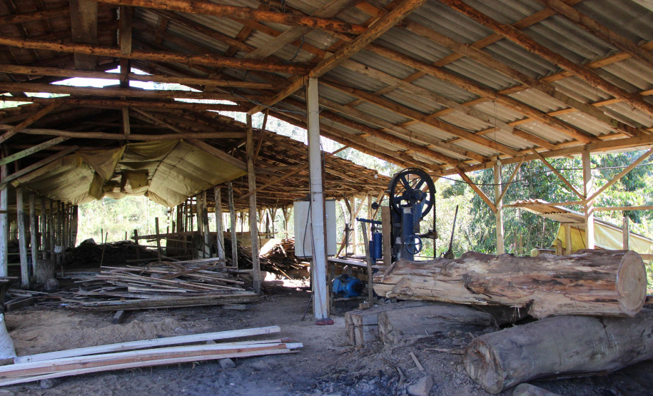 Polícia Militar apreende mais de 490 metros cúbicos de madeira ilegal durante operação