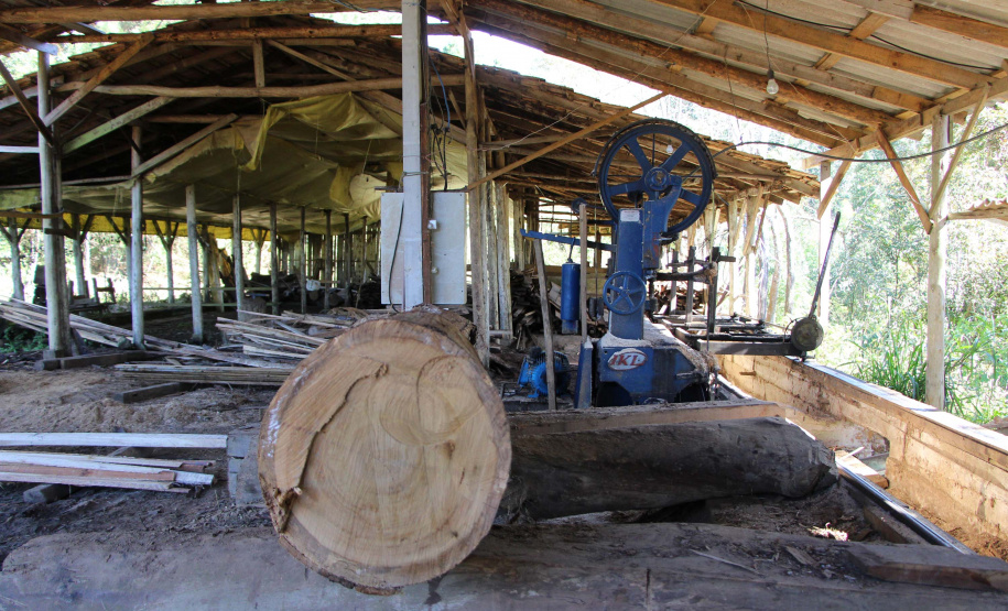 Polícia Militar apreende mais de 490 metros cúbicos de madeira ilegal durante operação