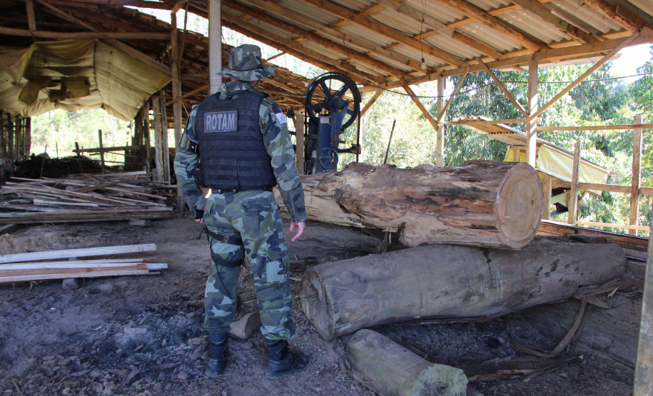 Polícia Militar apreende mais de 490 metros cúbicos de madeira ilegal durante operação